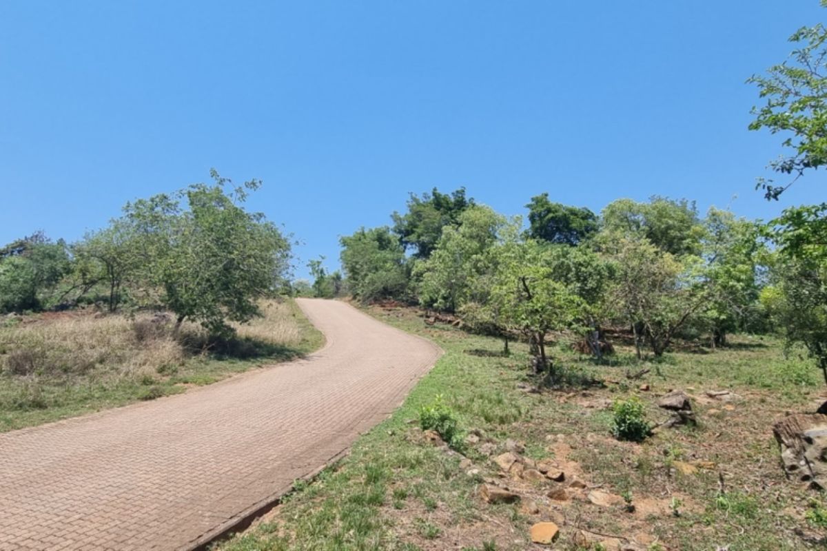 SHILOH COFFEE ESTATE VACANT STANDS FOR SALE - Photo 4