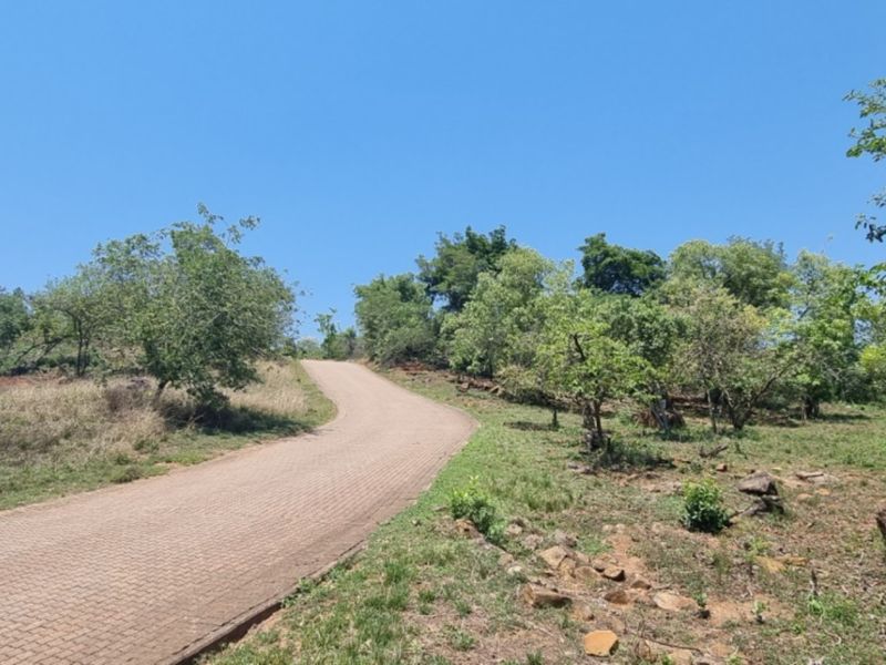 SHILOH COFFEE ESTATE VACANT STANDS FOR SALE - Photo 4