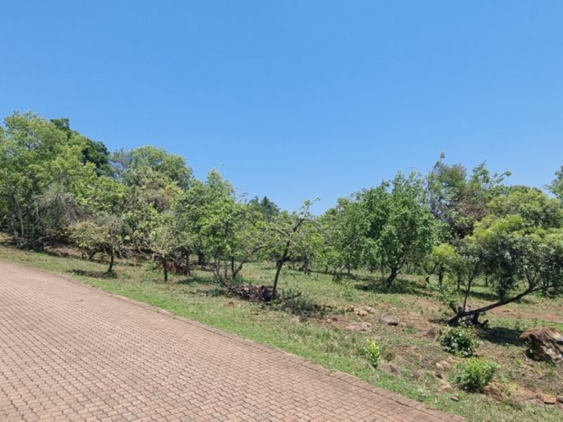 SHILOH COFFEE ESTATE VACANT STANDS FOR SALE - Photo 10