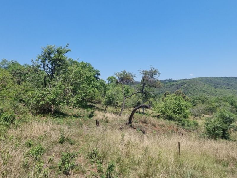 SHILOH COFFEE ESTATE VACANT STANDS FOR SALE - Photo 6