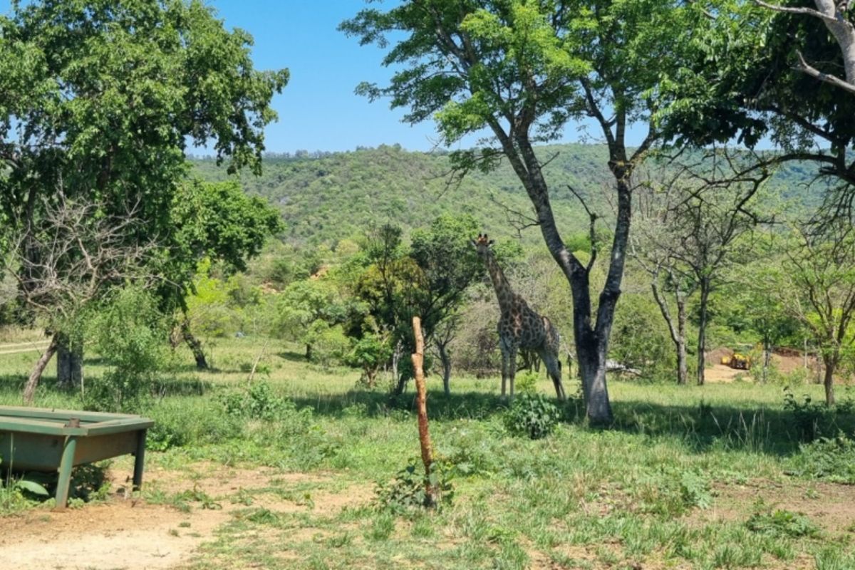 SHILOH COFFEE ESTATE VACANT STANDS FOR SALE - Photo 2