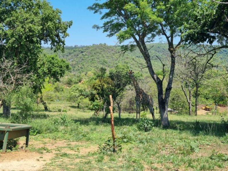 SHILOH COFFEE ESTATE VACANT STANDS FOR SALE - Photo 2