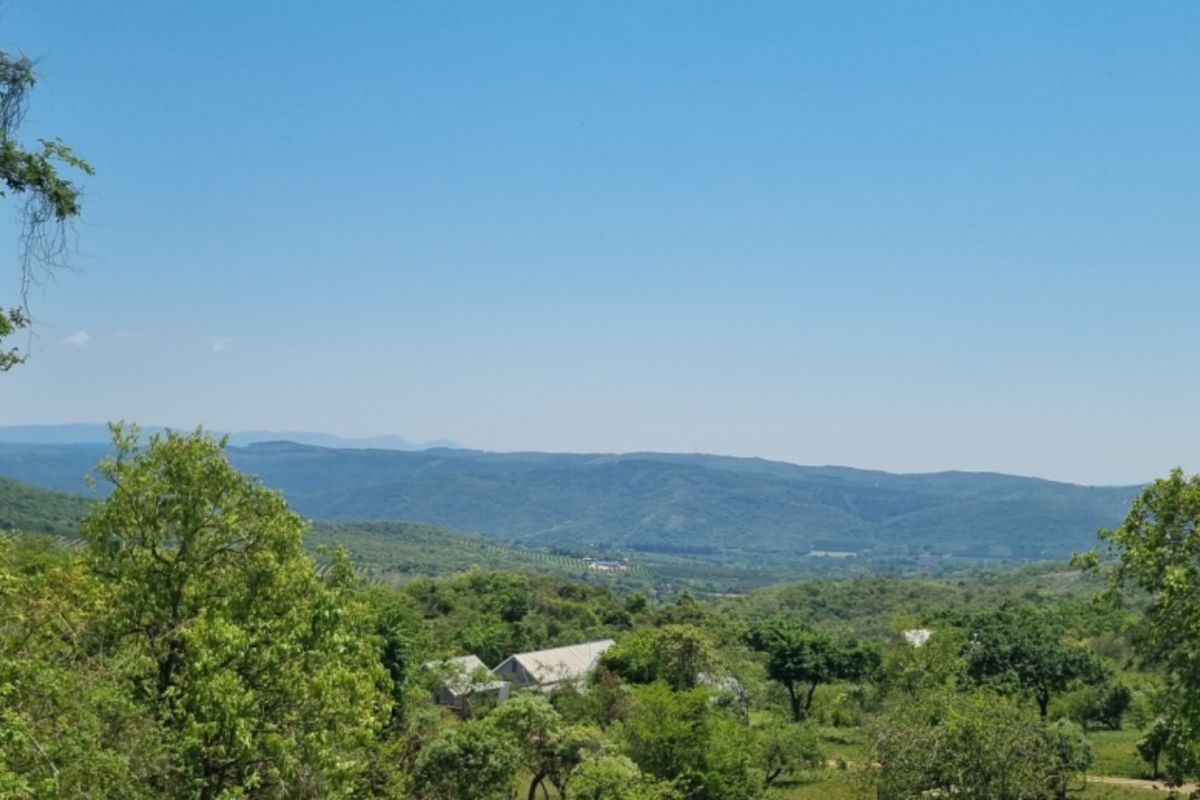 0,726ha Vacant Land in SHILOH LIFESTYLE & COFFEE ESTATE close to Hazyview Town, 435 Hectare estate - Photo 4