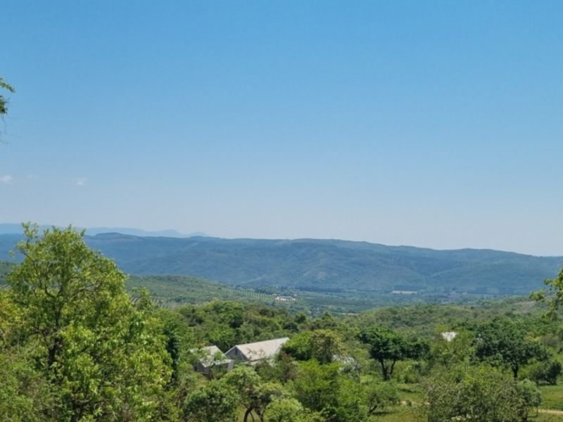 0,726ha Vacant Land in SHILOH LIFESTYLE & COFFEE ESTATE close to Hazyview Town, 435 Hectare estate - Photo 4