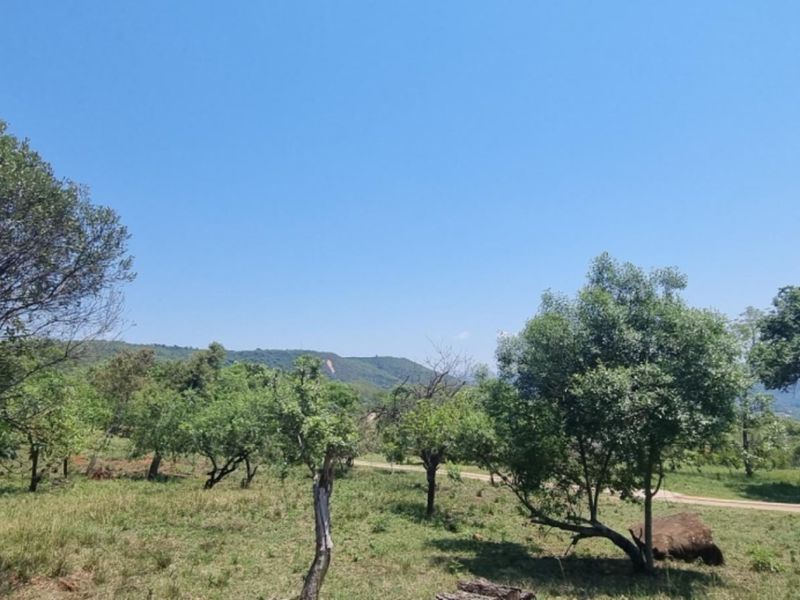 0,726ha Vacant Land in SHILOH LIFESTYLE & COFFEE ESTATE close to Hazyview Town, 435 Hectare estate - Photo 10