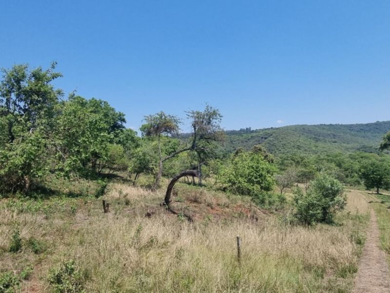 0,726ha Vacant Land in SHILOH LIFESTYLE & COFFEE ESTATE close to Hazyview Town, 435 Hectare estate - Photo 9