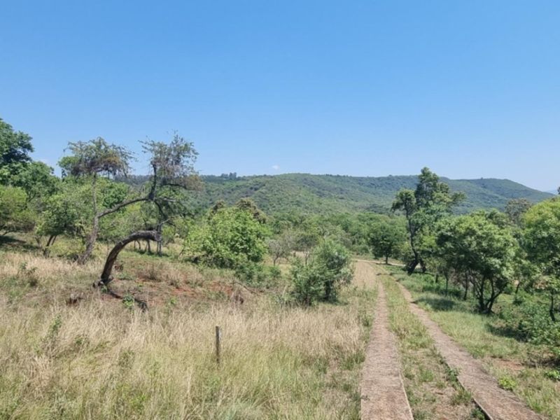 0,726ha Vacant Land in SHILOH LIFESTYLE & COFFEE ESTATE close to Hazyview Town, 435 Hectare estate - Photo 8