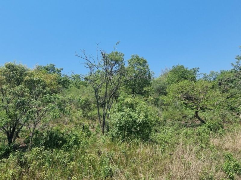 0,726ha Vacant Land in SHILOH LIFESTYLE & COFFEE ESTATE close to Hazyview Town, 435 Hectare estate - Photo 2