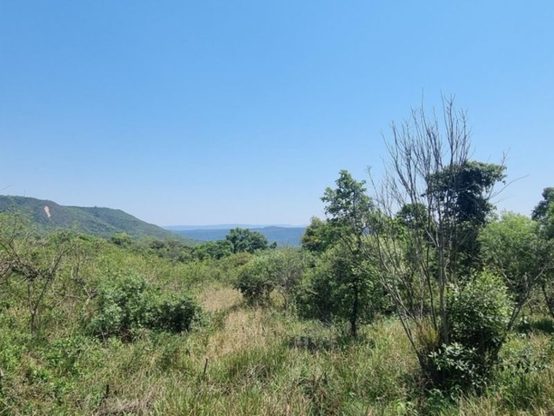 0,726ha Vacant Land in SHILOH LIFESTYLE & COFFEE ESTATE close to Hazyview Town, 435 Hectare estate - Photo 7