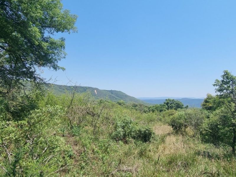 0,726ha Vacant Land in SHILOH LIFESTYLE & COFFEE ESTATE close to Hazyview Town, 435 Hectare estate - Photo 6