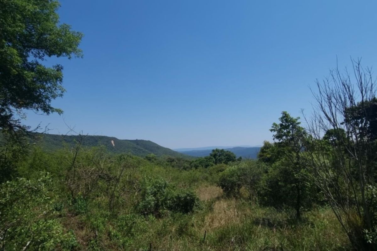 0,726ha Vacant Land in SHILOH LIFESTYLE & COFFEE ESTATE close to Hazyview Town, 435 Hectare estate - Photo 5