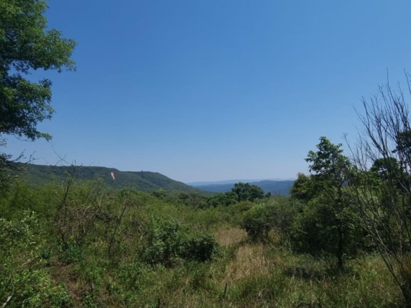 0,726ha Vacant Land in SHILOH LIFESTYLE & COFFEE ESTATE close to Hazyview Town, 435 Hectare estate - Photo 5