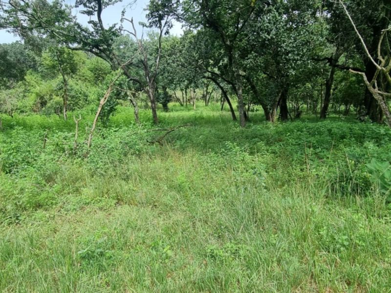 NORTH FACING VACANT LAND in SHILOH LIFESTYLE & COFFEE ESTATE, ONE OF A KIND - Photo 2