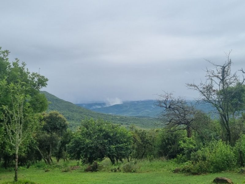 NORTH FACING VACANT LAND in SHILOH LIFESTYLE & COFFEE ESTATE, ONE OF A KIND - Photo 3