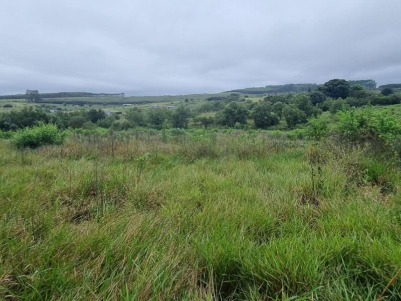 Estate with Airstrip - Vacant Land for Sale - Photo 10
