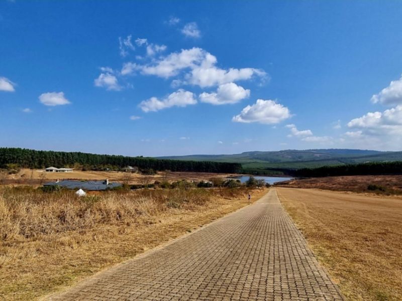 Estate with Airstrip - Vacant Land for Sale - Photo 8