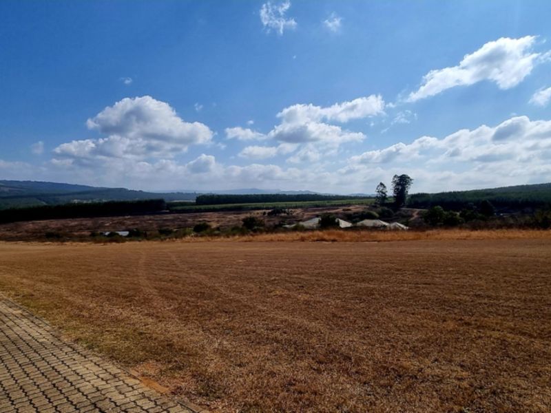 Estate with Airstrip - Vacant Land for Sale - Photo 7