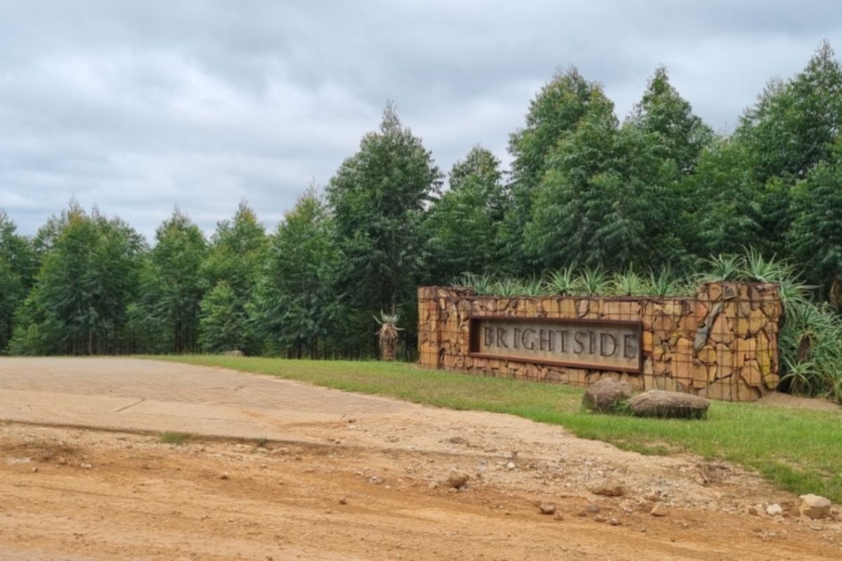 Estate with Airstrip - Vacant Land for Sale - Photo 4