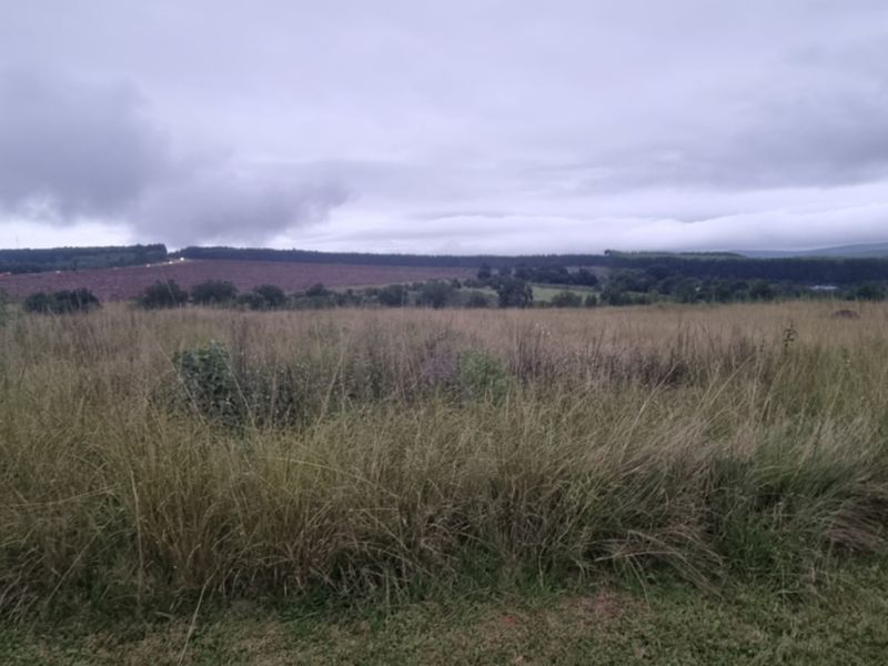 Vacant Land for Sale in Brightside Estate - Photo 2