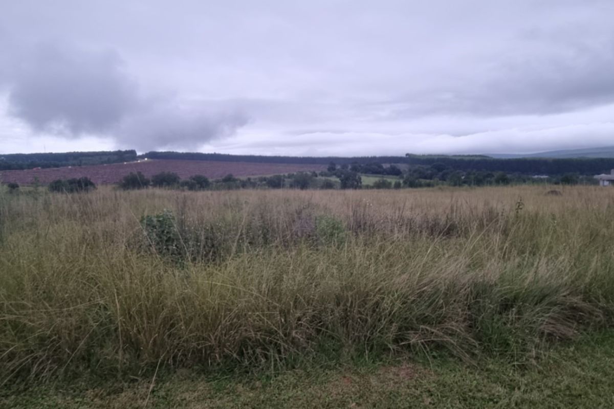 Vacant Land for Sale in Brightside Estate - Photo 2