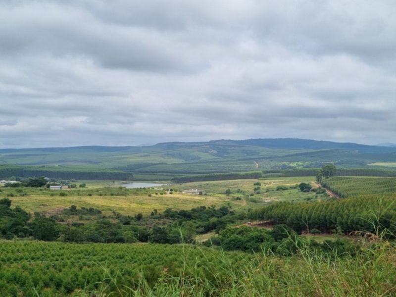 Vacant Land for Sale in Brightside Estate - Photo 3