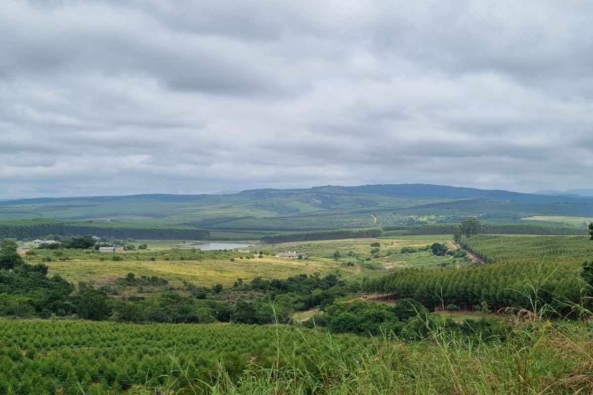 Vacant Land for Sale in Brightside Estate - Photo 3