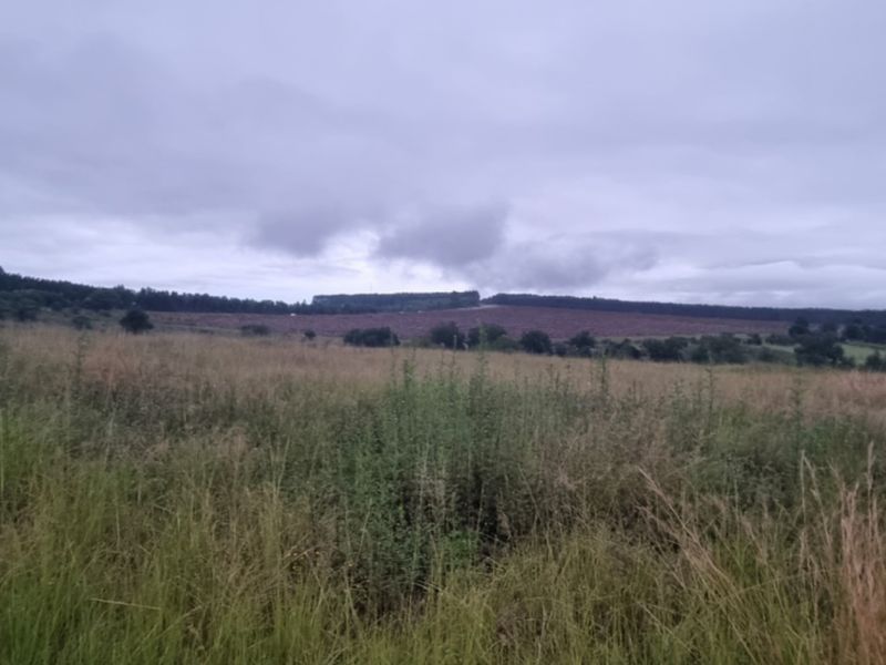 Vacant Land for Sale in Brightside Estate - Photo 8