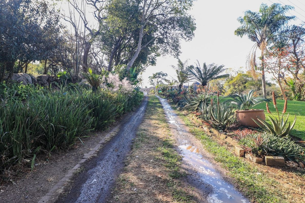 Exclusive 4.4ha smallholding White River - Photo 2