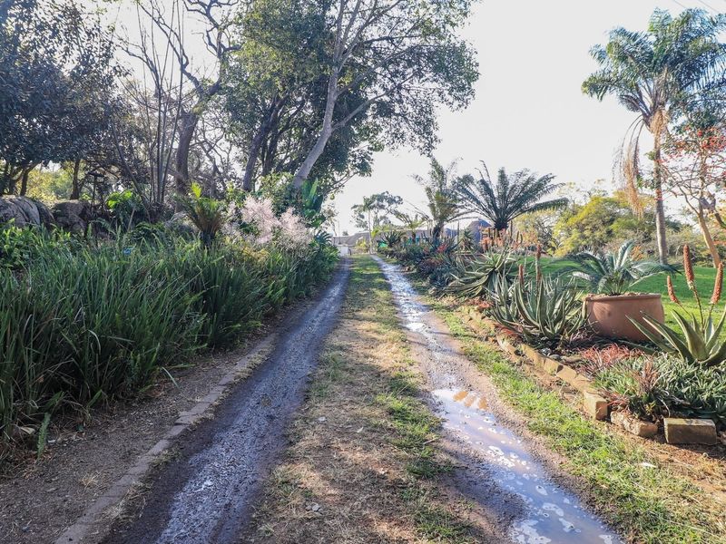 Exclusive 4.4ha smallholding White River - Photo 2