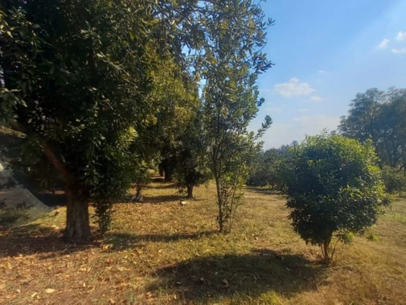 Exclusive 1 hectare of land on the  Yaverland road - Photo 9