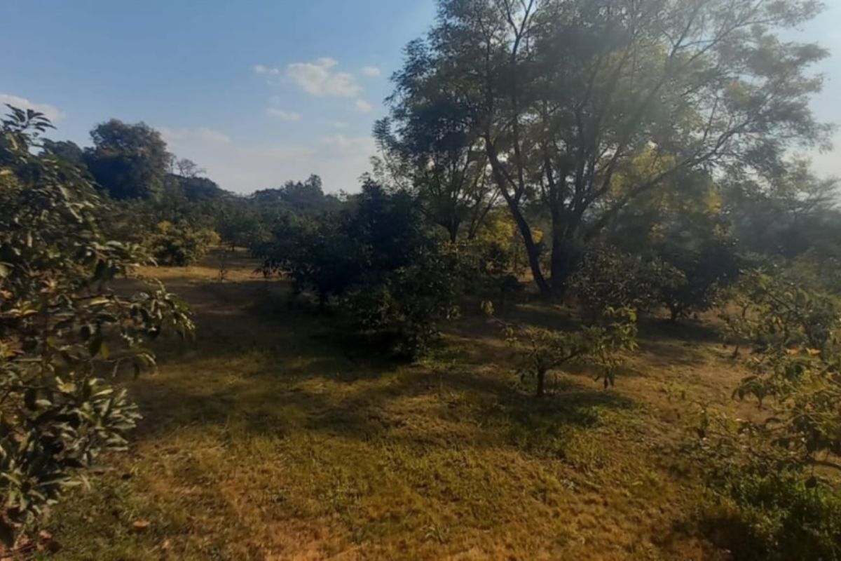 Exclusive 1 hectare of land on the  Yaverland road - Photo 4