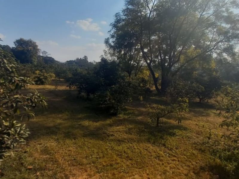 Exclusive 1 hectare of land on the  Yaverland road - Photo 4