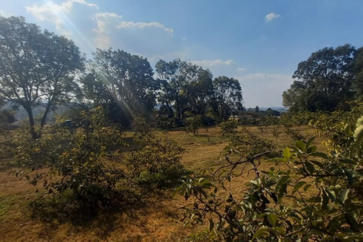 Exclusive 1 hectare of land on the  Yaverland road - Photo 5