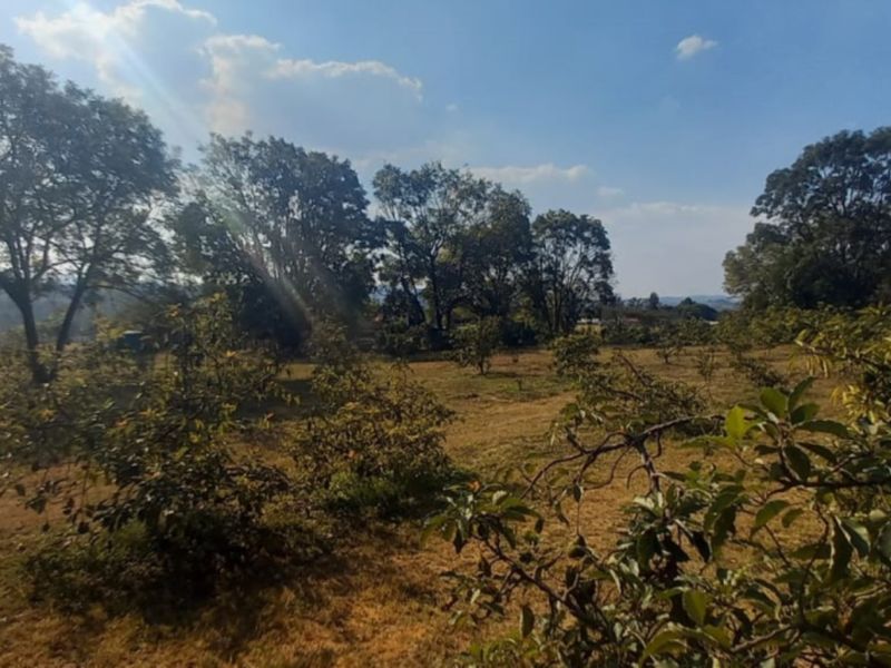 Exclusive 1 hectare of land on the  Yaverland road - Photo 5