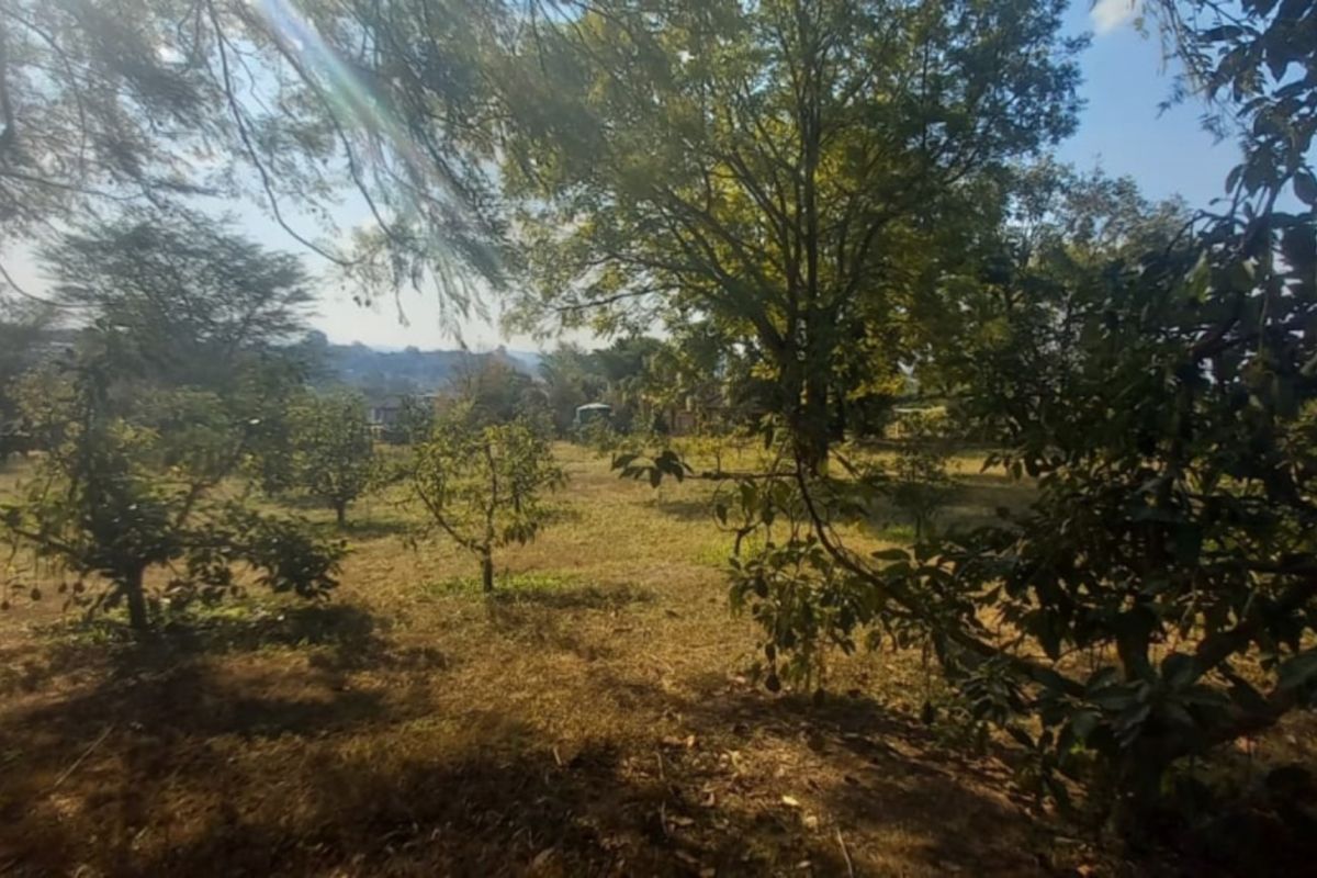 Exclusive 1 hectare of land on the  Yaverland road - Photo 2