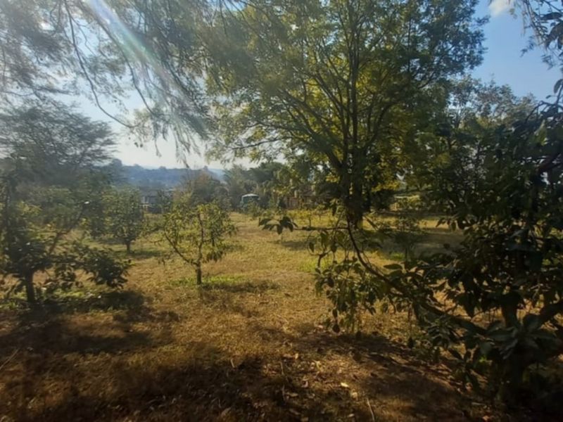 Exclusive 1 hectare of land on the  Yaverland road - Photo 2