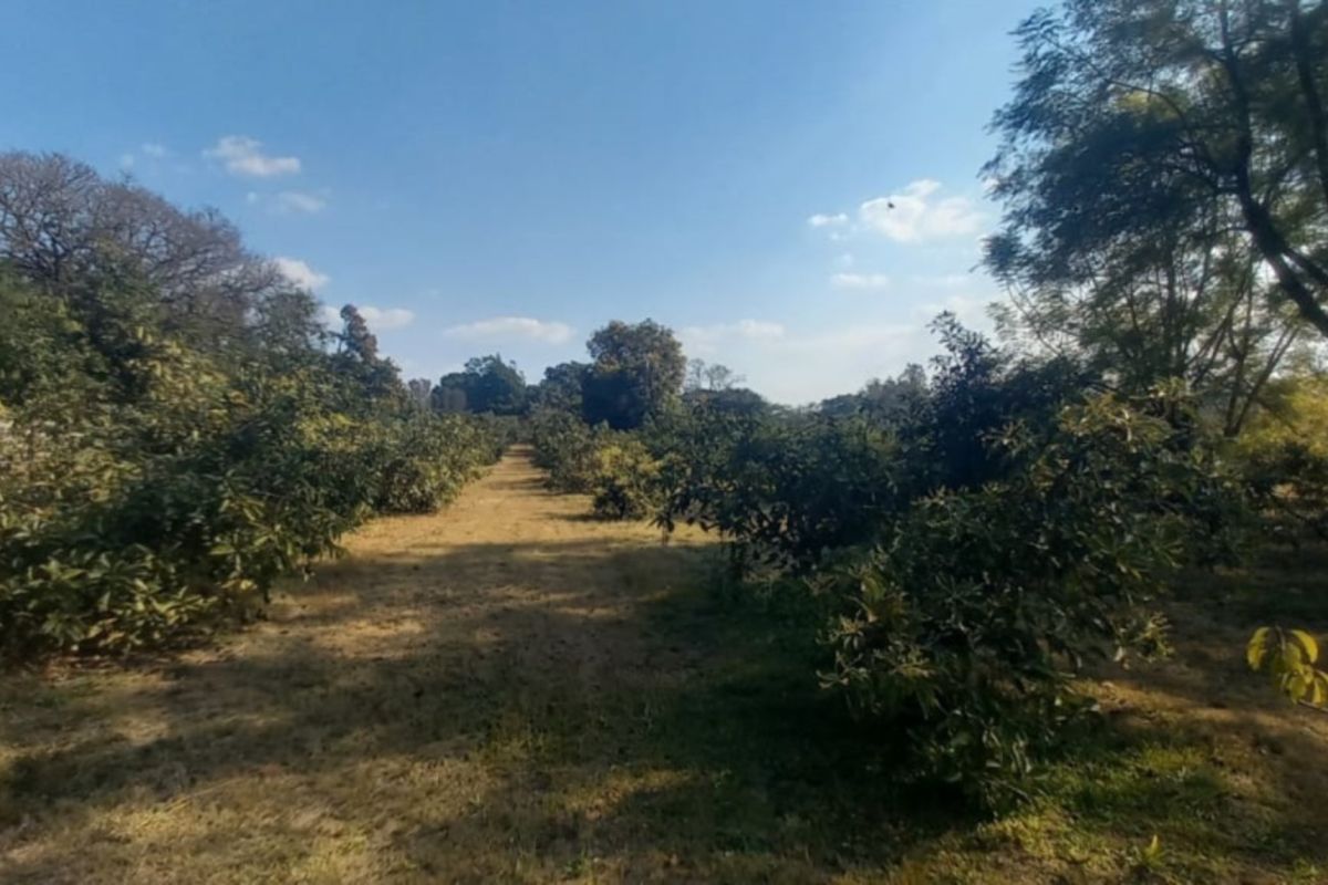 Exclusive 1 hectare of land on the  Yaverland road - Photo 3