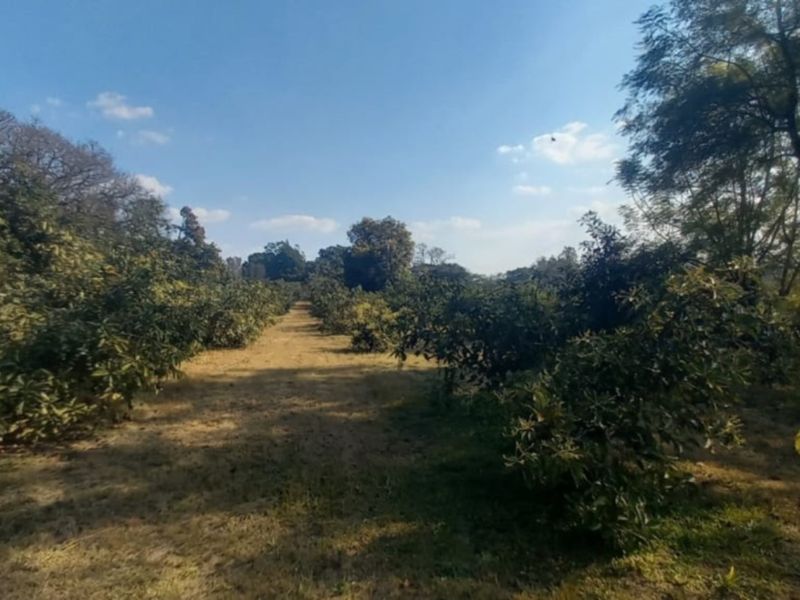 Exclusive 1 hectare of land on the  Yaverland road - Photo 3