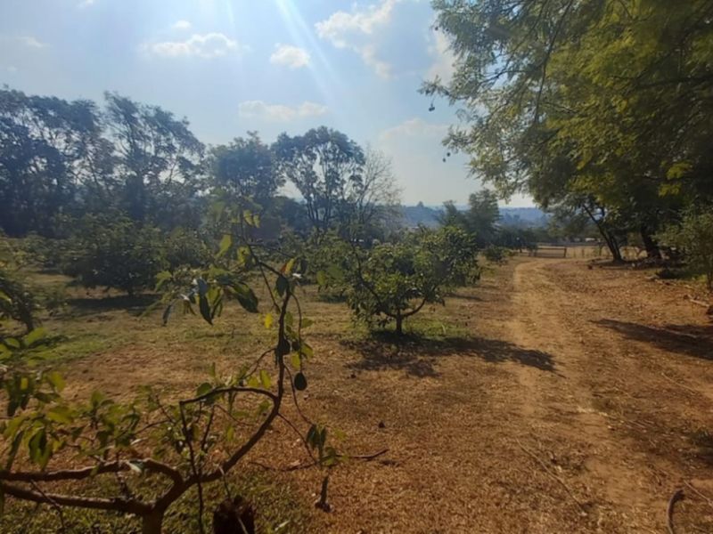 Exclusive 1 hectare of land on the  Yaverland road - Photo 10