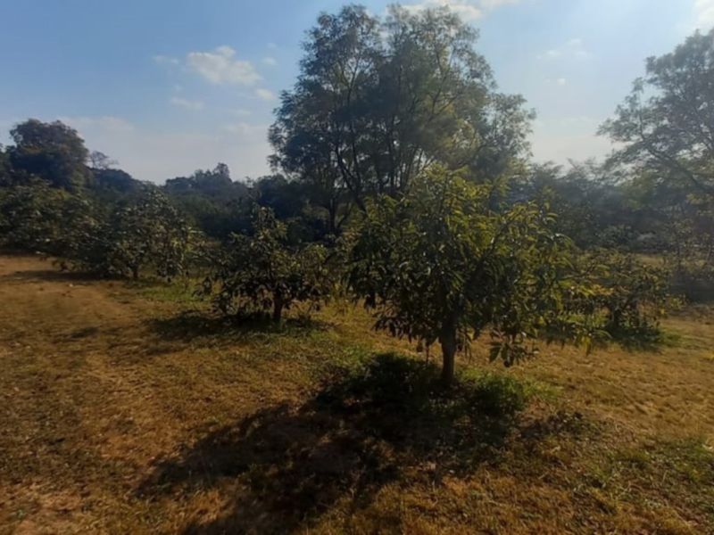 Exclusive 1 hectare of land on the  Yaverland road - Photo 6