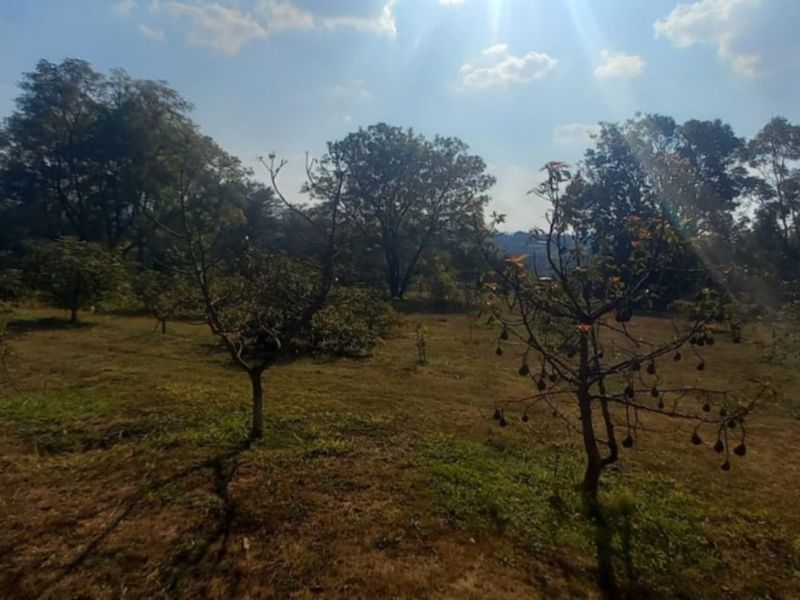 Exclusive 1 hectare of land on the  Yaverland road - Photo 8