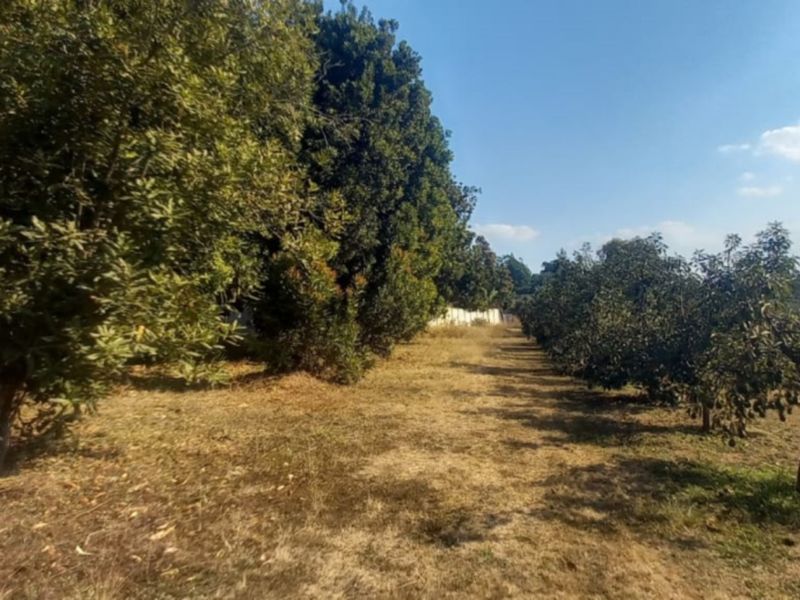 Exclusive 1 hectare of land on the  Yaverland road - Photo 7