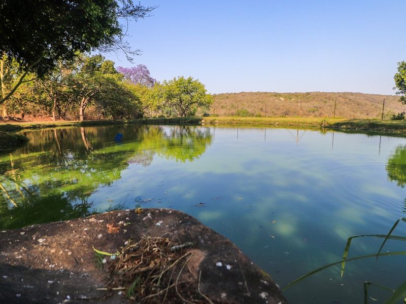 This property combines comfort, practicality and beauty of nature, making it a perfect retreat. - Photo 1