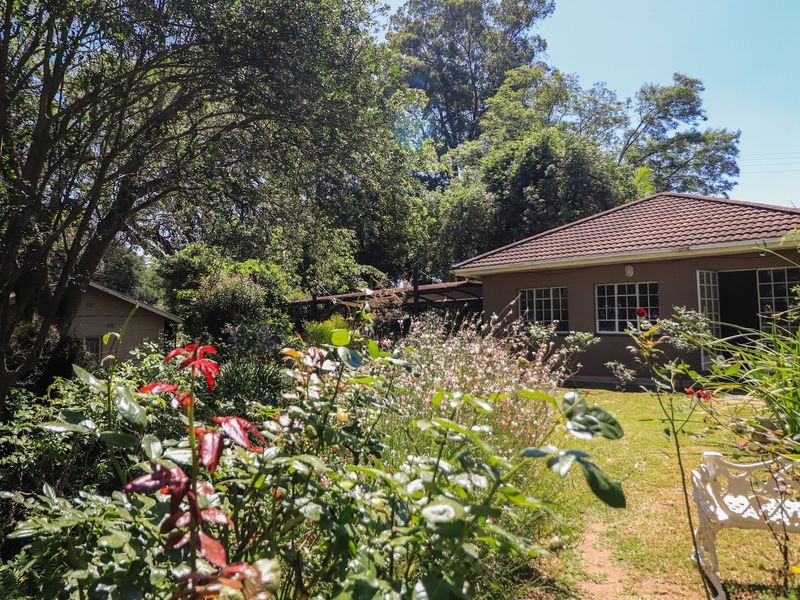 7 PROPERTIES ON THIS 5,1391 HECTARES SMALL HOLDING CLOSE TO TOWN - Photo 5