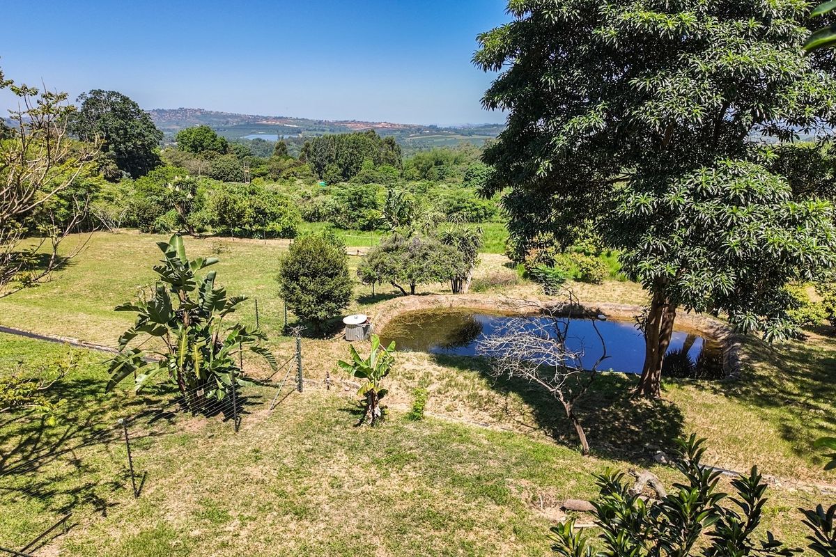 7 PROPERTIES ON THIS 5,1391 HECTARES SMALL HOLDING CLOSE TO TOWN - Photo 2