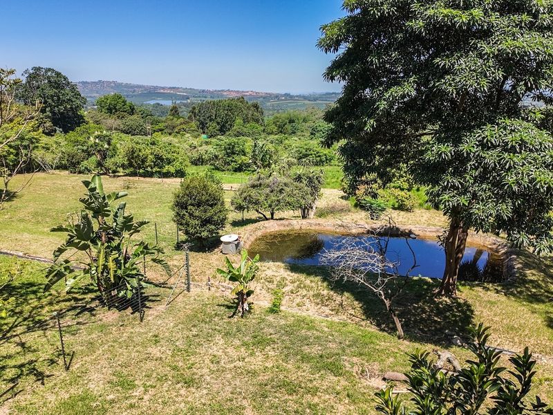 7 PROPERTIES ON THIS 5,1391 HECTARES SMALL HOLDING CLOSE TO TOWN - Photo 2