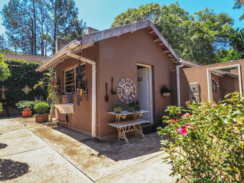 A rear exterior view of a small holding outbuilding featuring a concrete patio, external utility sink, and established garden surroundings.