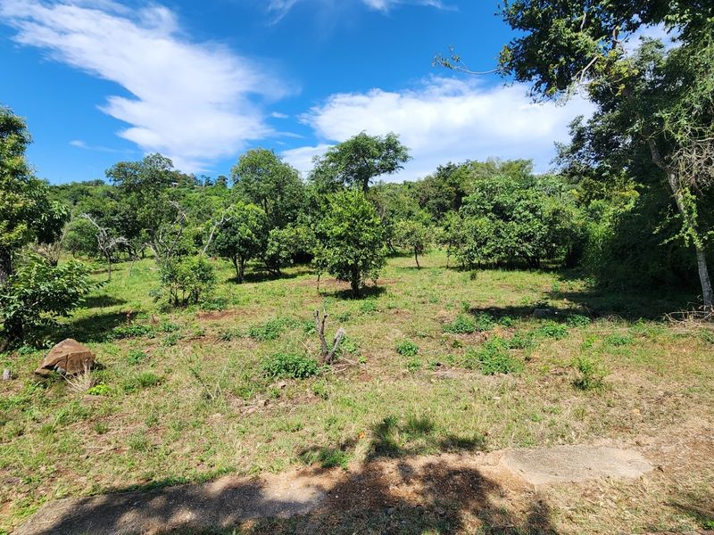 BUILD YOUR DREAM HOME NEAR KRUGER NATIONAL PARK - Photo 8