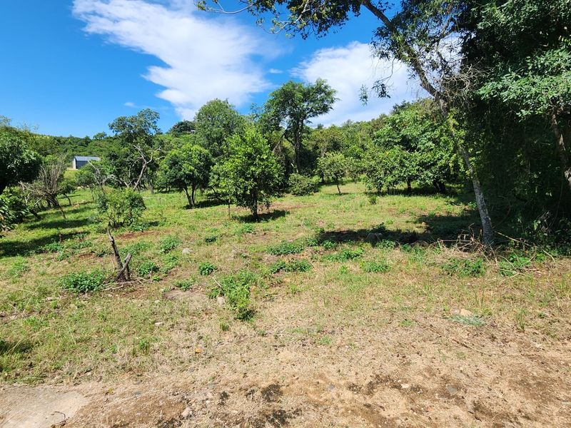 BUILD YOUR DREAM HOME NEAR KRUGER NATIONAL PARK - Photo 9