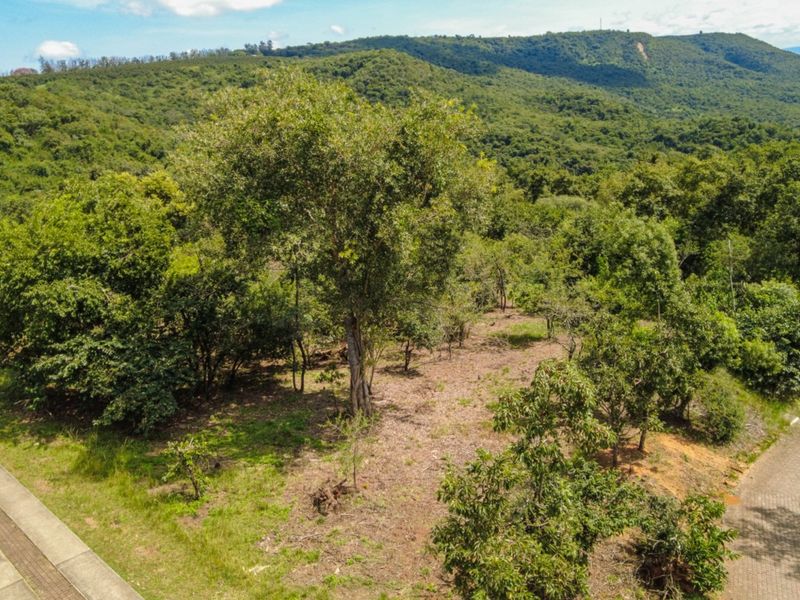 BUILD YOUR DREAM HOME NEAR KRUGER NATIONAL PARK - Photo 6